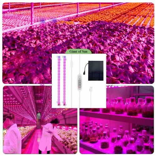 Panou solar LED Grow Light Bar Strip 10W 20W 30W Full Spectrum USB Phyto Lamp pentru plante Flori cu efect de sera
